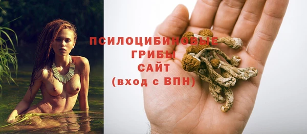 mdpv Алзамай