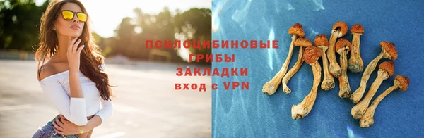 mdpv Алзамай