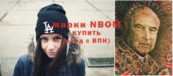 ешки Алексин