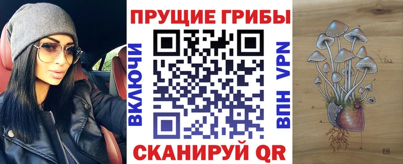 hydra маркетплейс  купить закладку  Безенчук  Псилоцибиновые грибы прущие грибы 